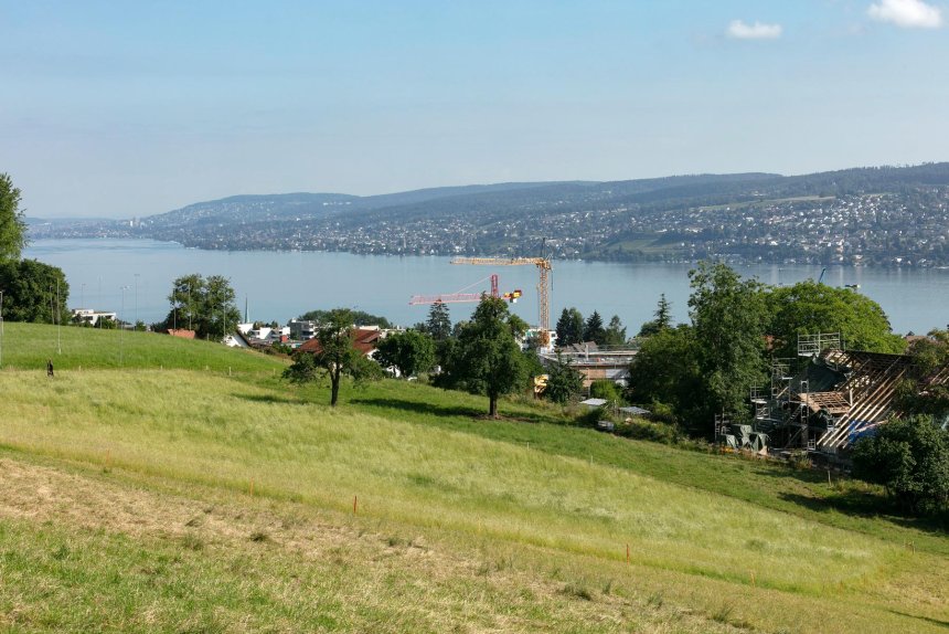 Blick vom Grundstück auf den See Richtung Zürich